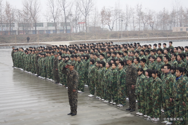 电子pg下载入口