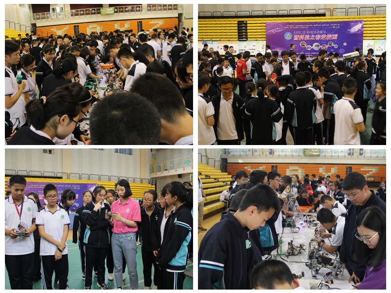 电子pg下载入口