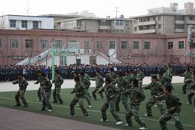 电子pg下载入口