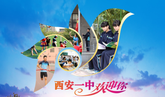 电子pg下载入口