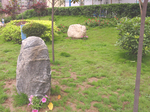 电子pg下载入口