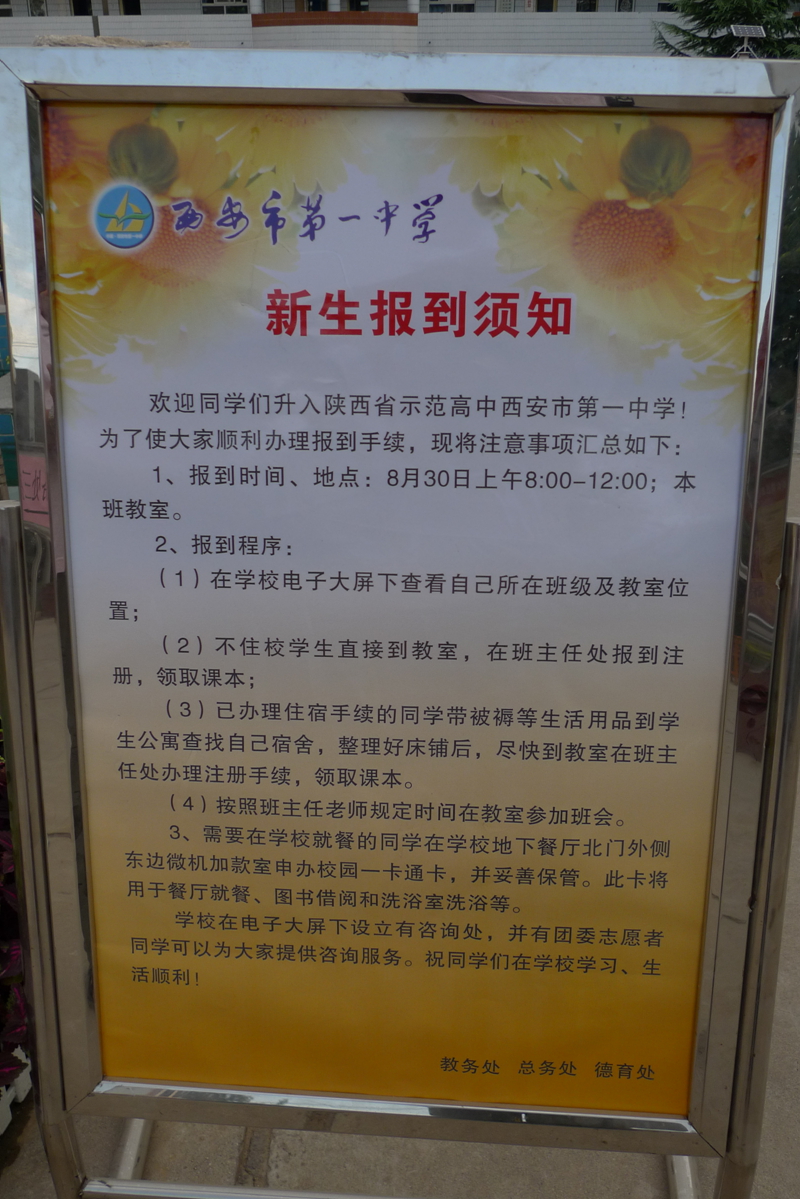 电子pg下载入口