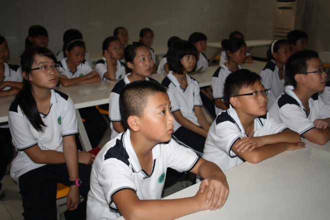 电子pg下载入口