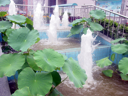 电子pg下载入口