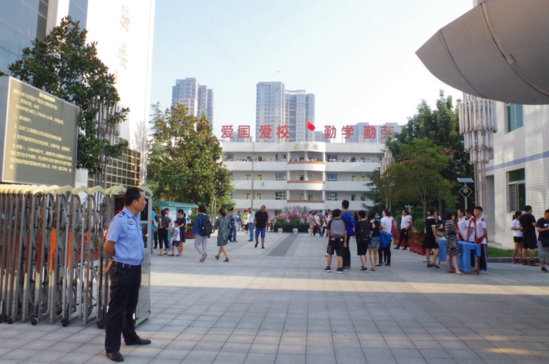 电子pg下载入口