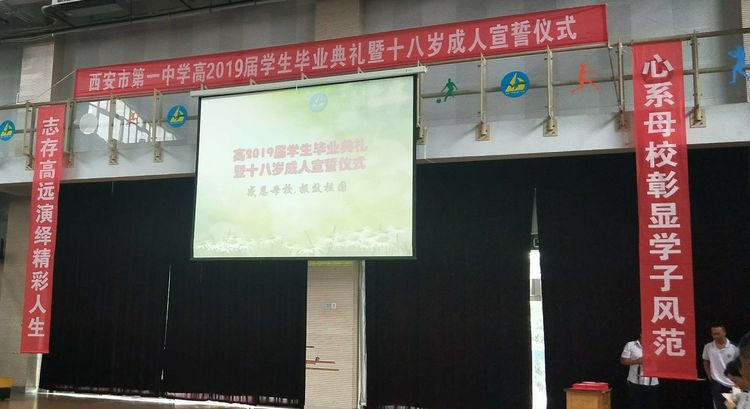 电子pg下载入口