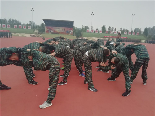 电子pg下载入口