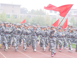 电子pg下载入口