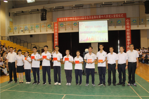 电子pg下载入口