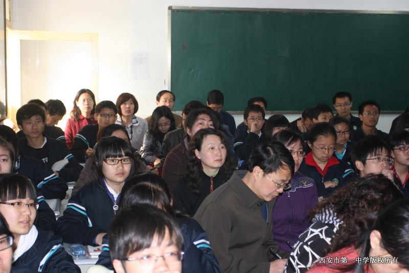 电子pg下载入口