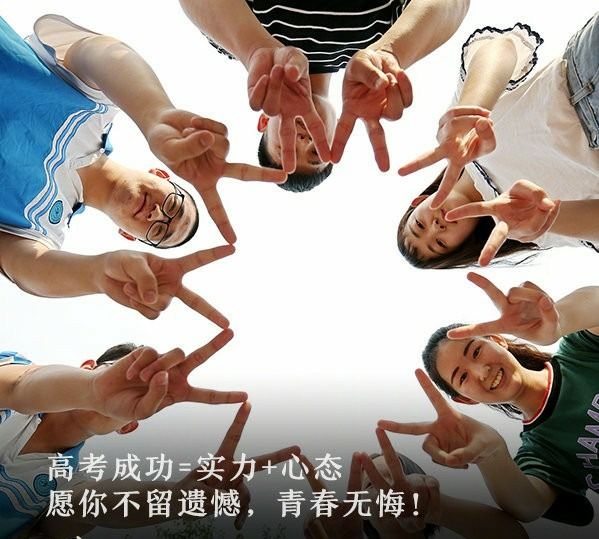 电子pg下载入口