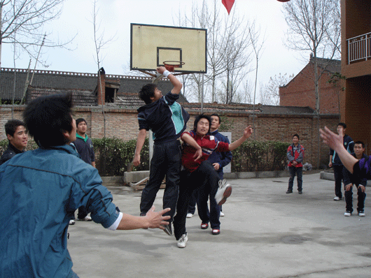 电子pg下载入口