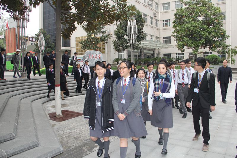 电子pg下载入口