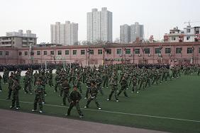 电子pg下载入口