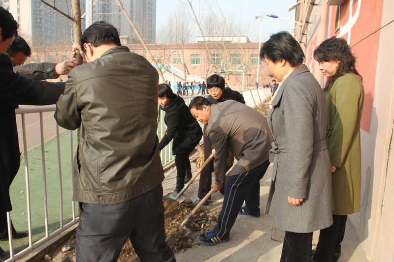 电子pg下载入口