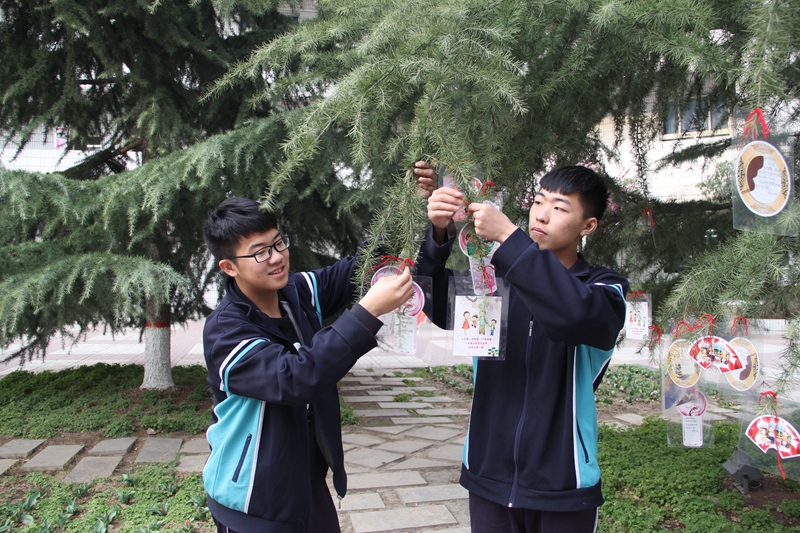 电子pg下载入口