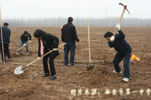 电子pg下载入口