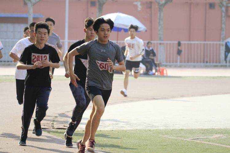 电子pg下载入口