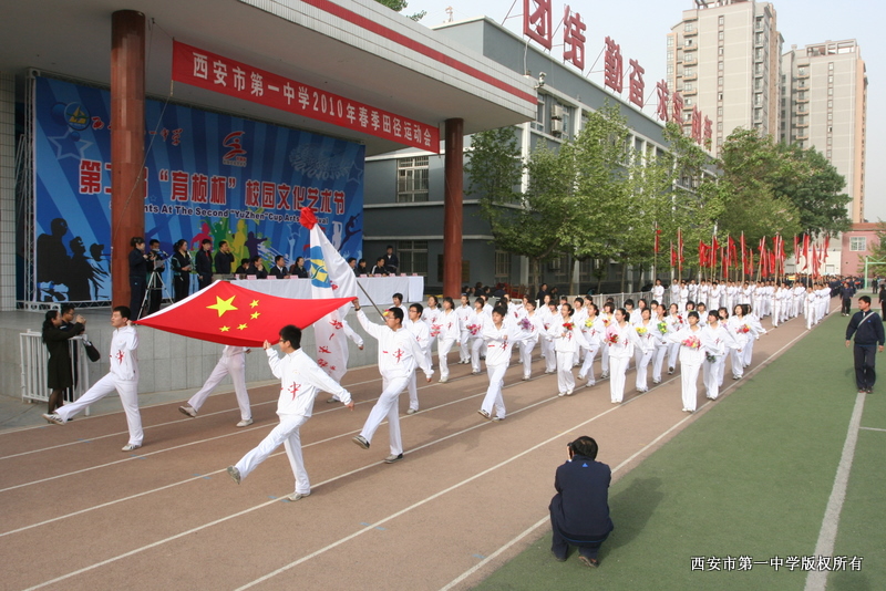 电子pg下载入口