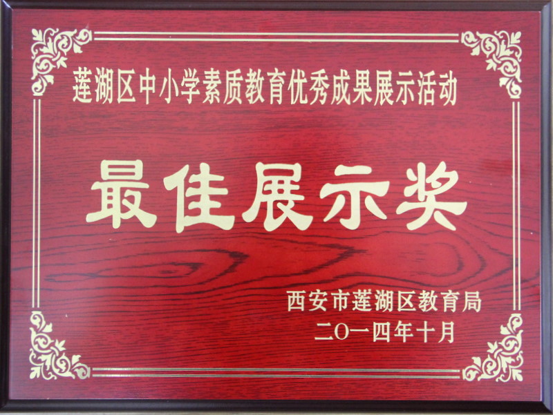 电子pg下载入口