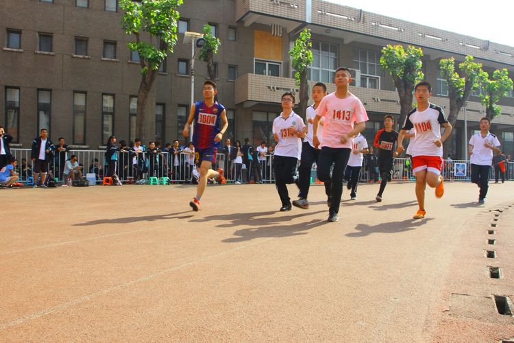 电子pg下载入口