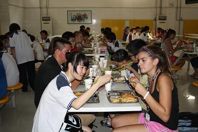 电子pg下载入口