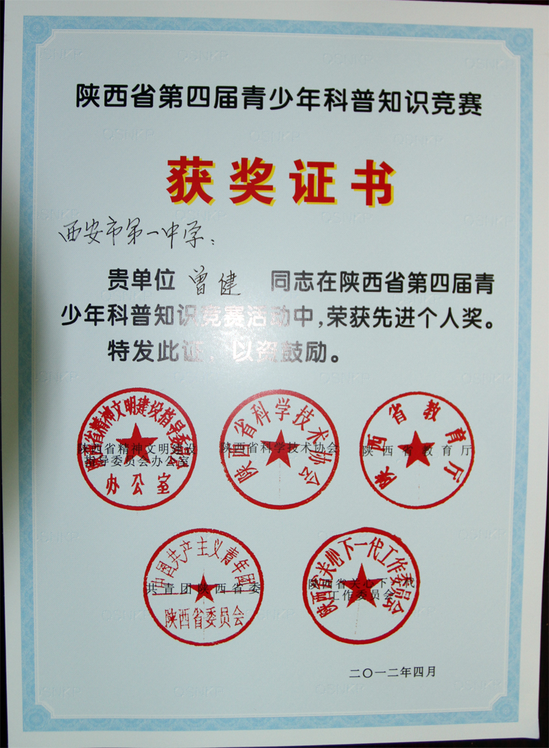 电子pg下载入口