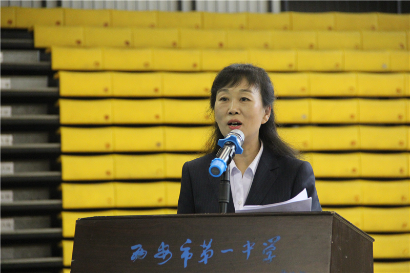 电子pg下载入口