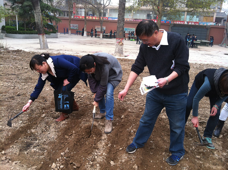 电子pg下载入口