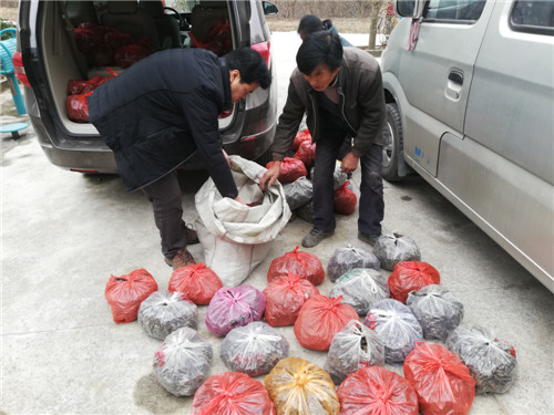 电子pg下载入口