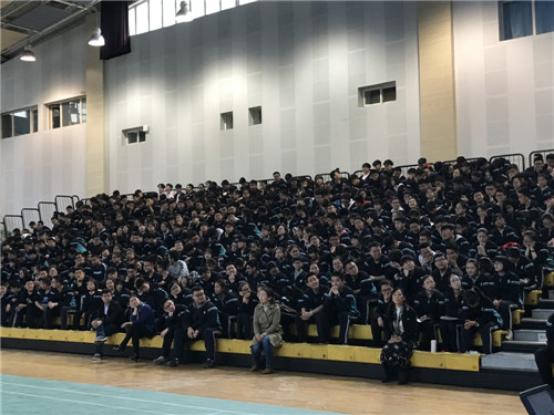 电子pg下载入口