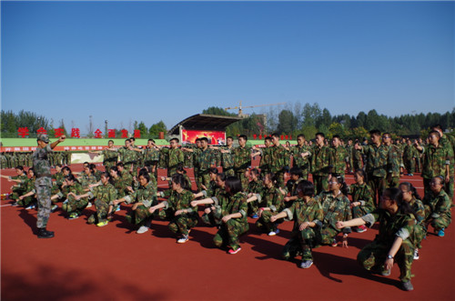 电子pg下载入口