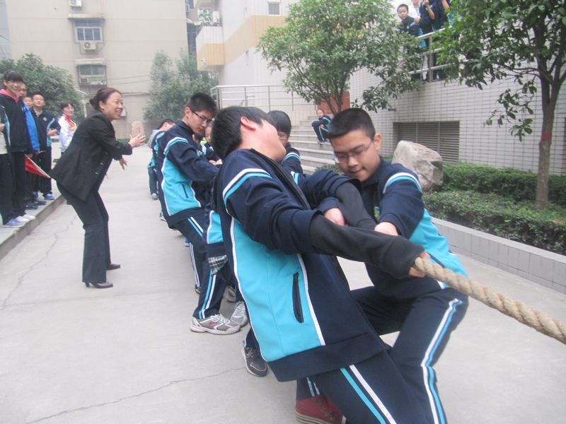 电子pg下载入口