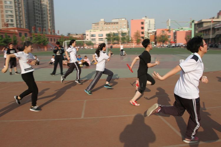 电子pg下载入口