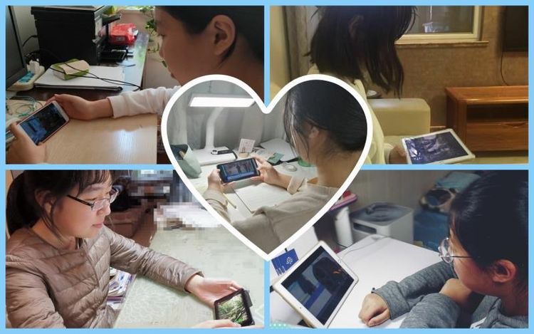 电子pg下载入口