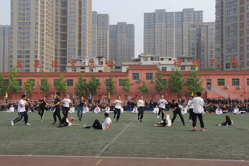 电子pg下载入口