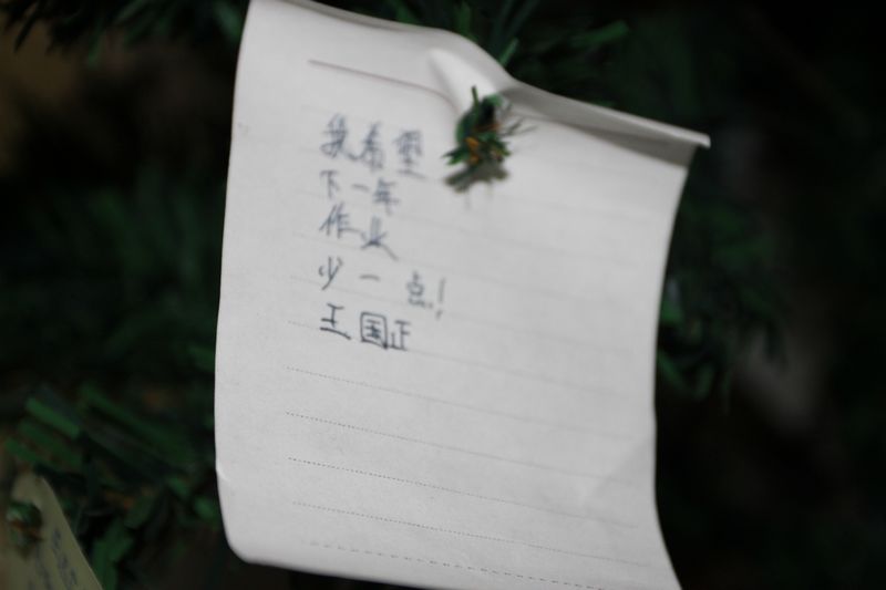 电子pg下载入口
