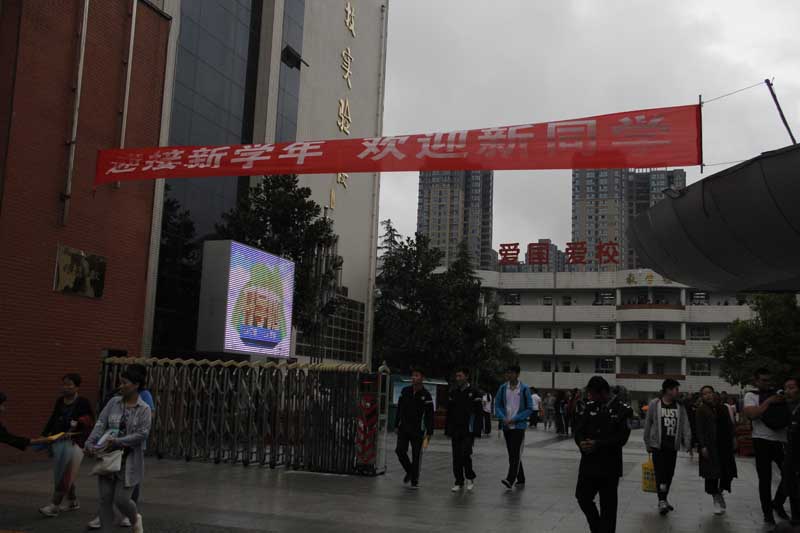 电子pg下载入口