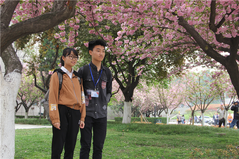 电子pg下载入口