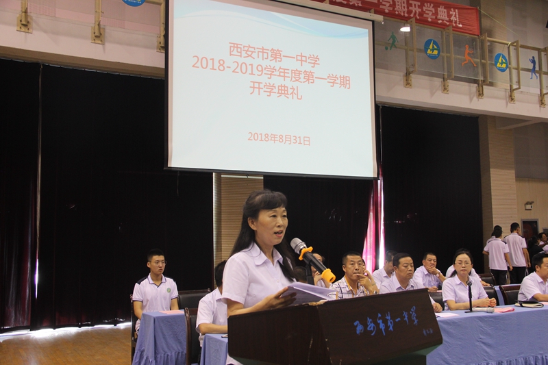 电子pg下载入口