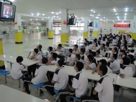 电子pg下载入口