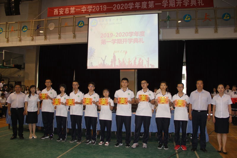 电子pg下载入口