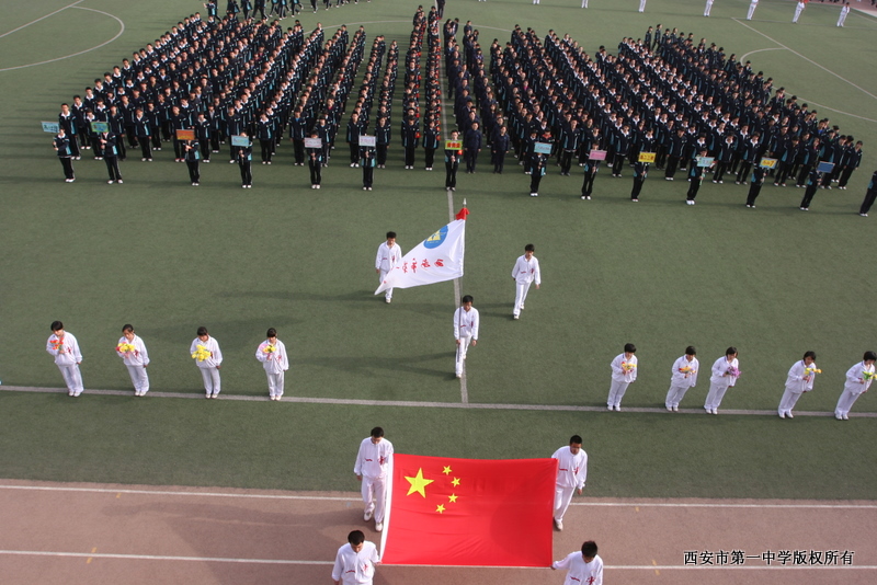 电子pg下载入口