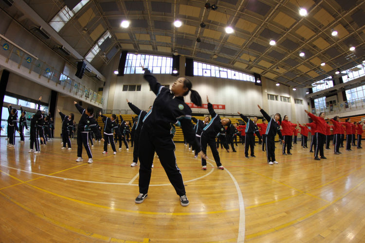 电子pg下载入口