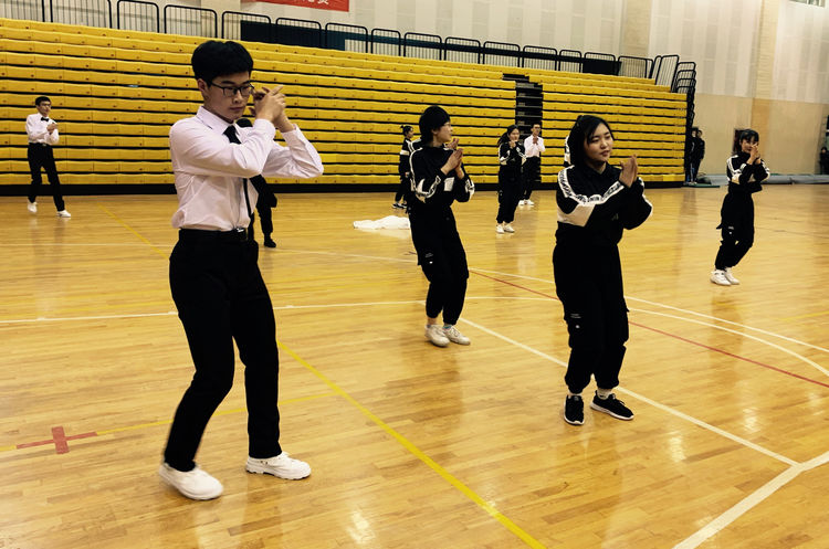 电子pg下载入口