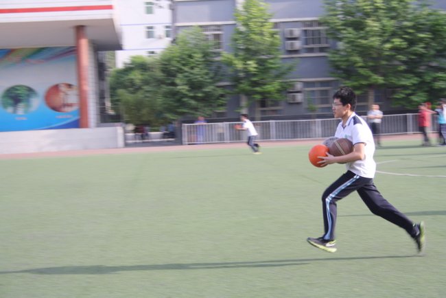 电子pg下载入口