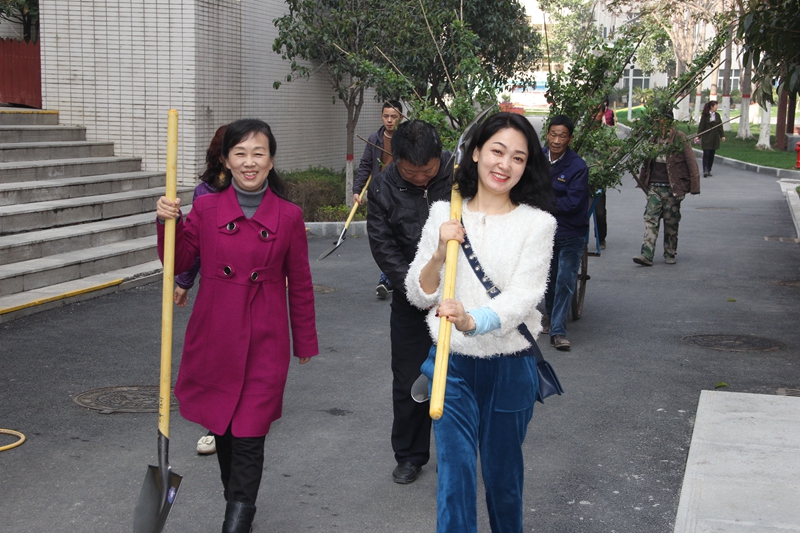 电子pg下载入口