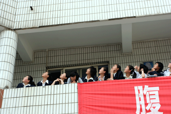 电子pg下载入口