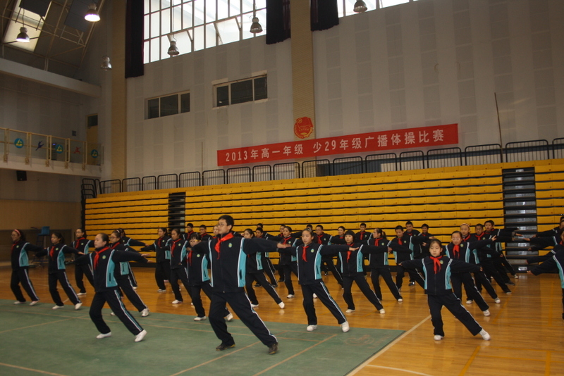电子pg下载入口