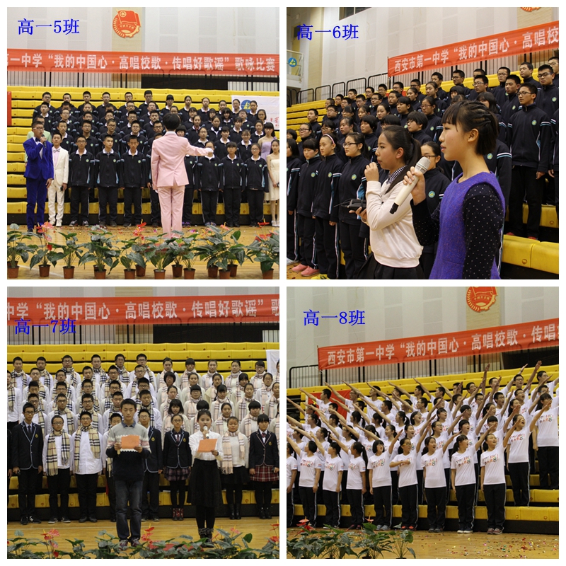 电子pg下载入口